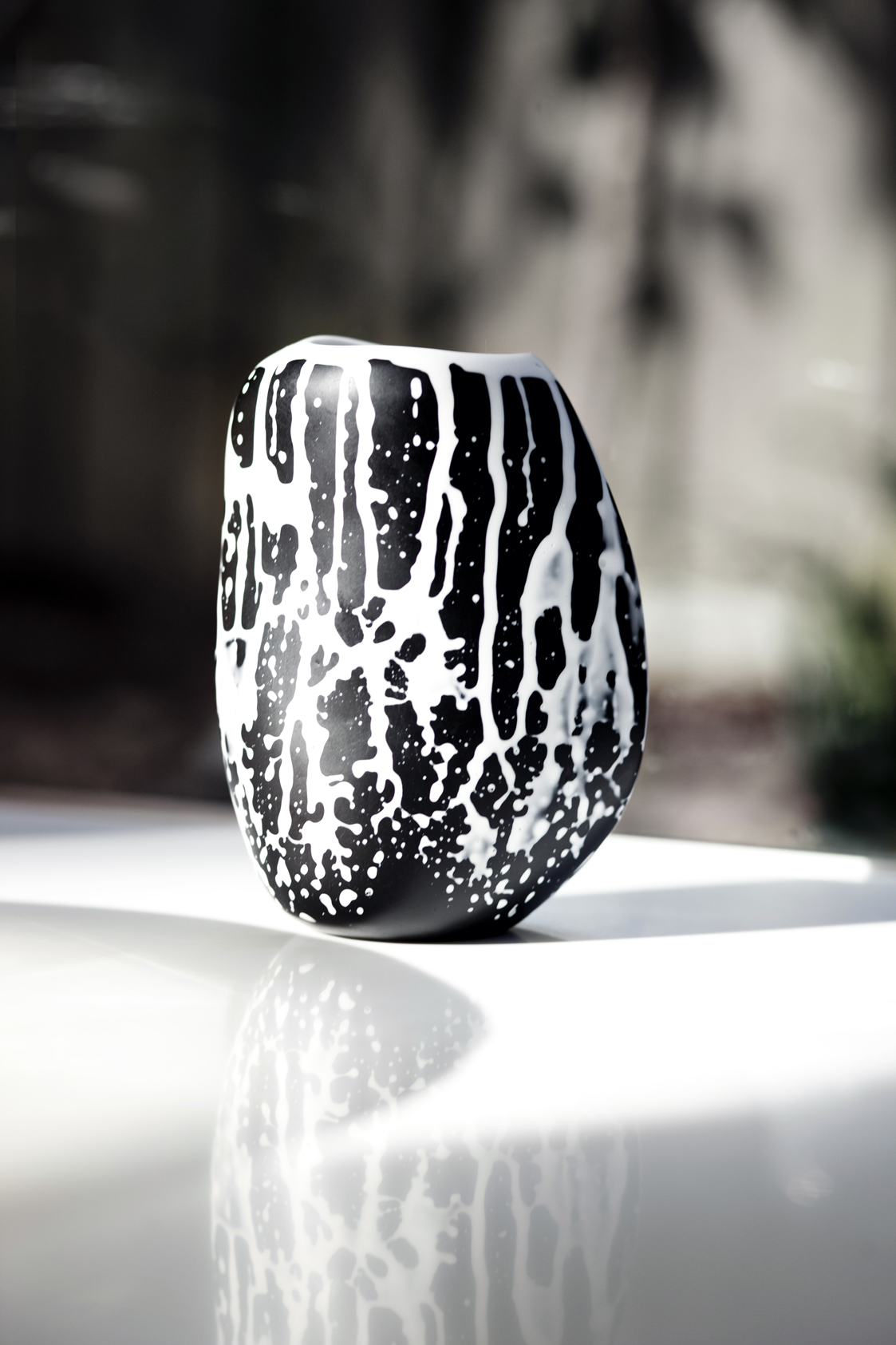 Dinsosaur Designs black and white vase
