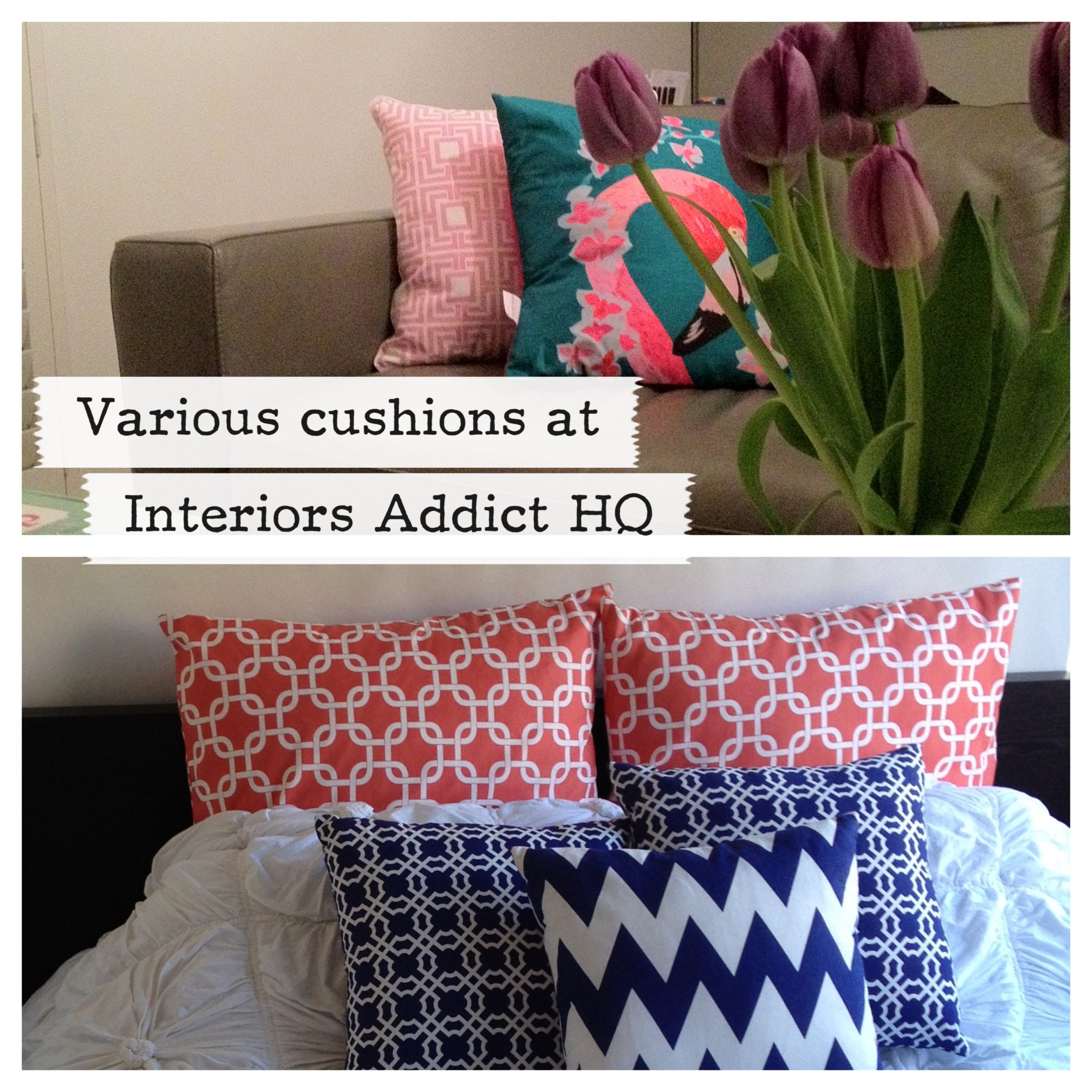 https://files.theinteriorsaddict.com/uploads/2013/02/cushions.jpg