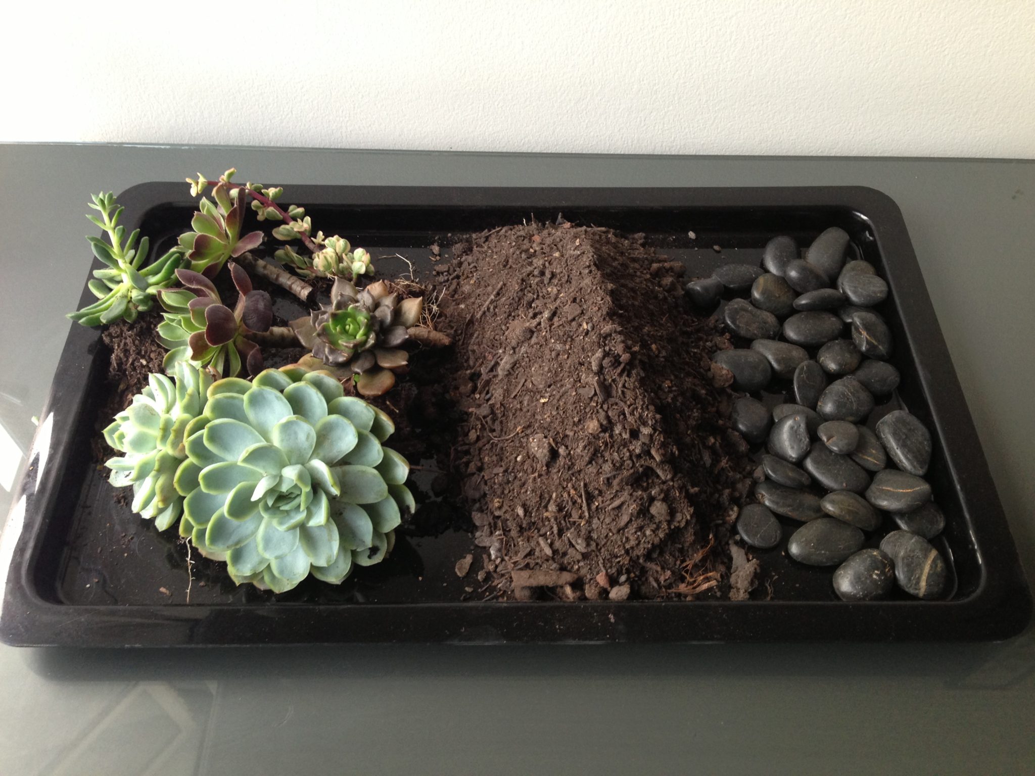 How to: make your own terrarium - The Interiors Addict