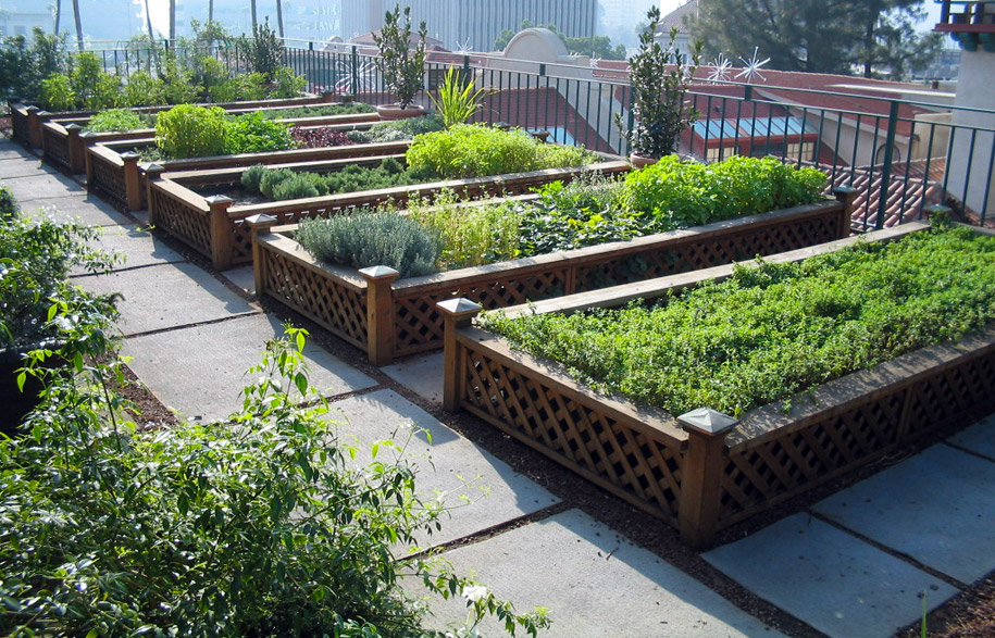 Make your rooftop garden dream come true - The Interiors Addict