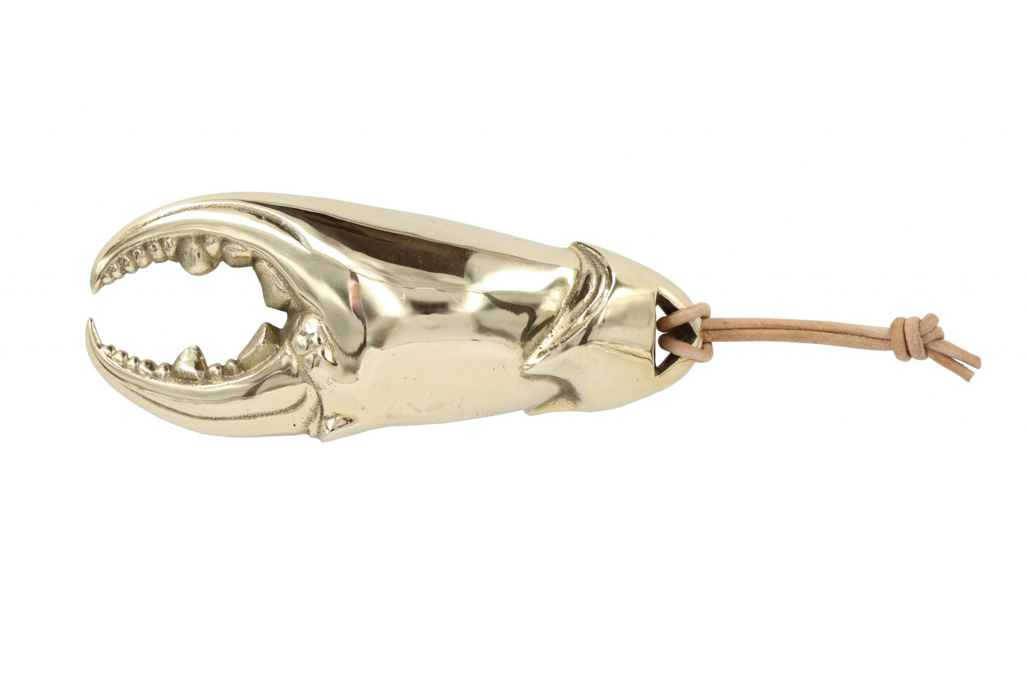 Crab claw bottle opener