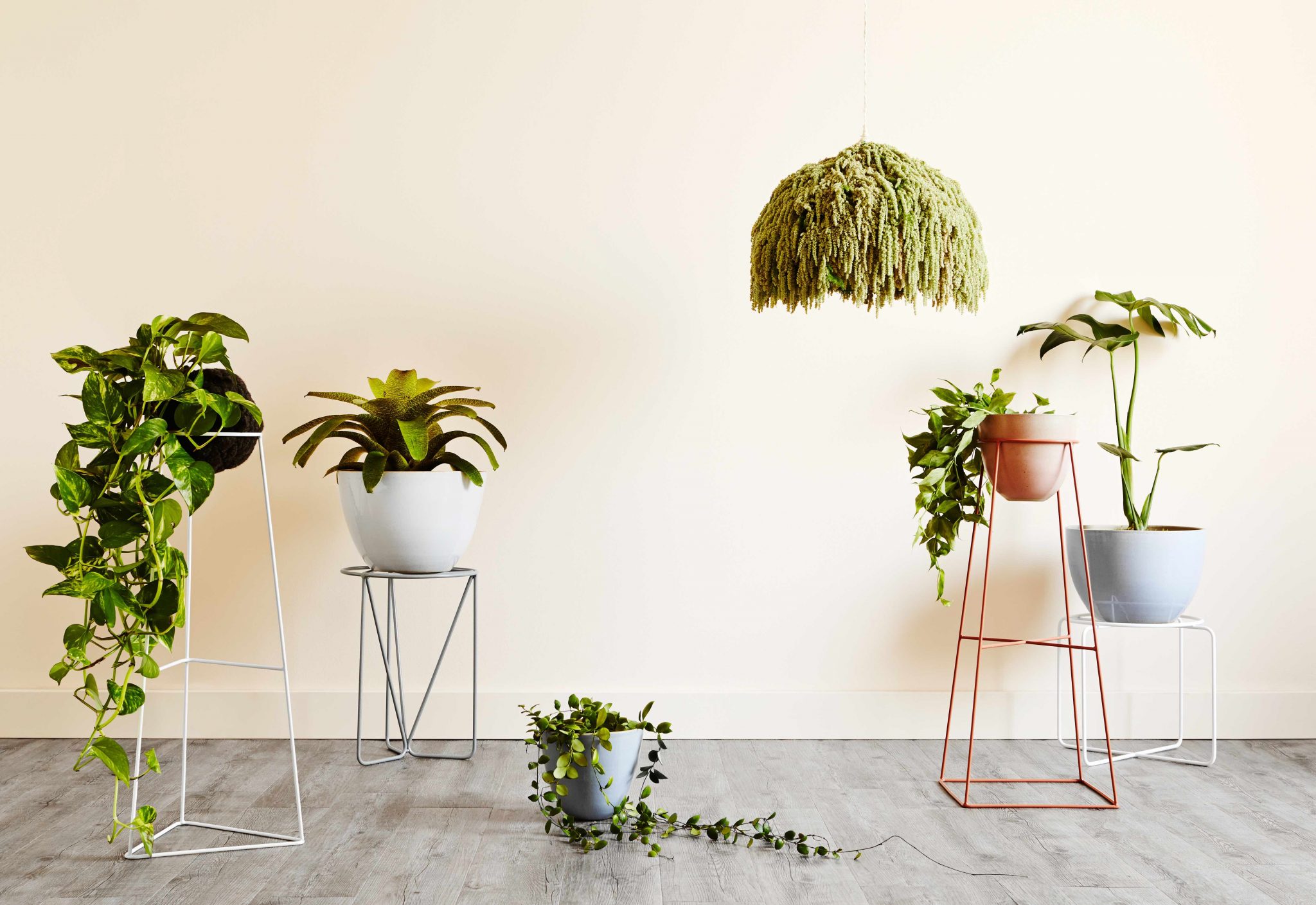 Ivy Muse release second limited edition range of plant stands The
