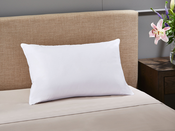 Aldi pillow hot sale sale