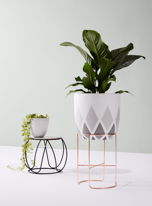 Ivy Muse evolve stylish third collection beyond plant stands - The ...