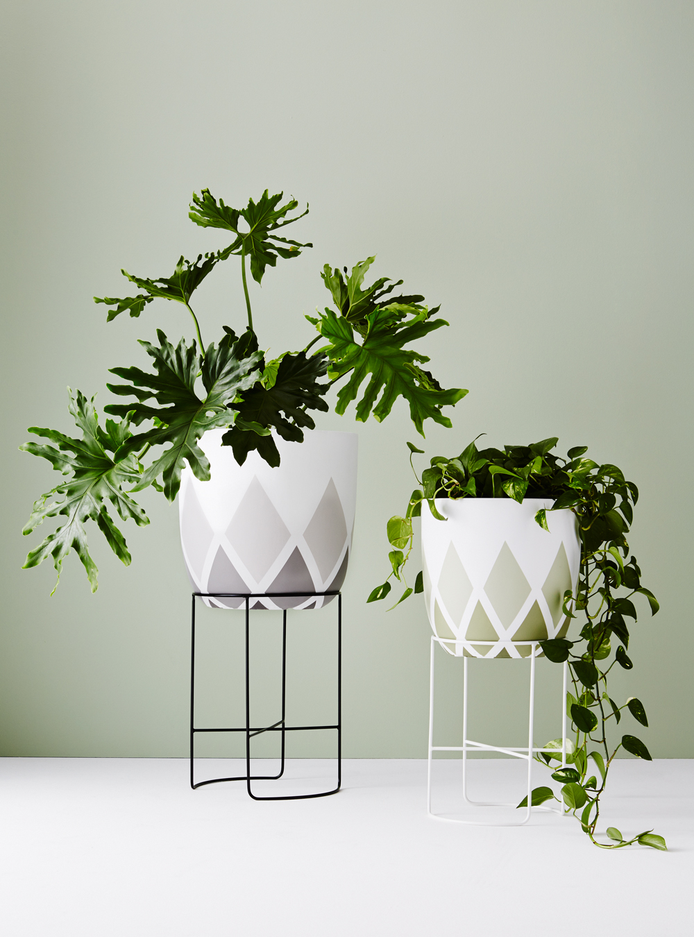 Ivy Muse evolve stylish third collection beyond plant stands - The ...