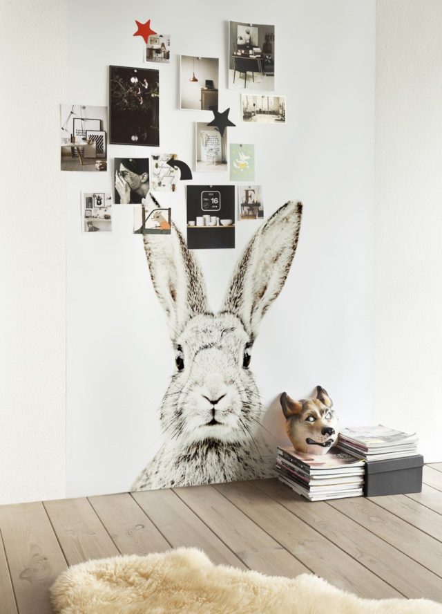 Magnetic Rabbit Room