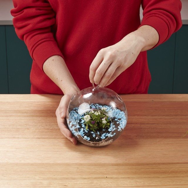 terrarium_step-6-_068-640x640