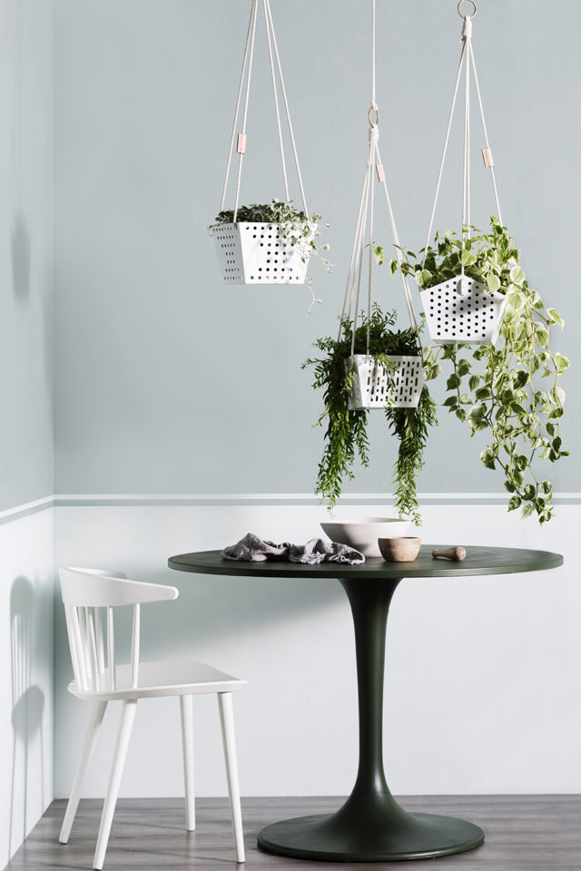 Shelf/Life planters styled by Vanessa Colyer Tay