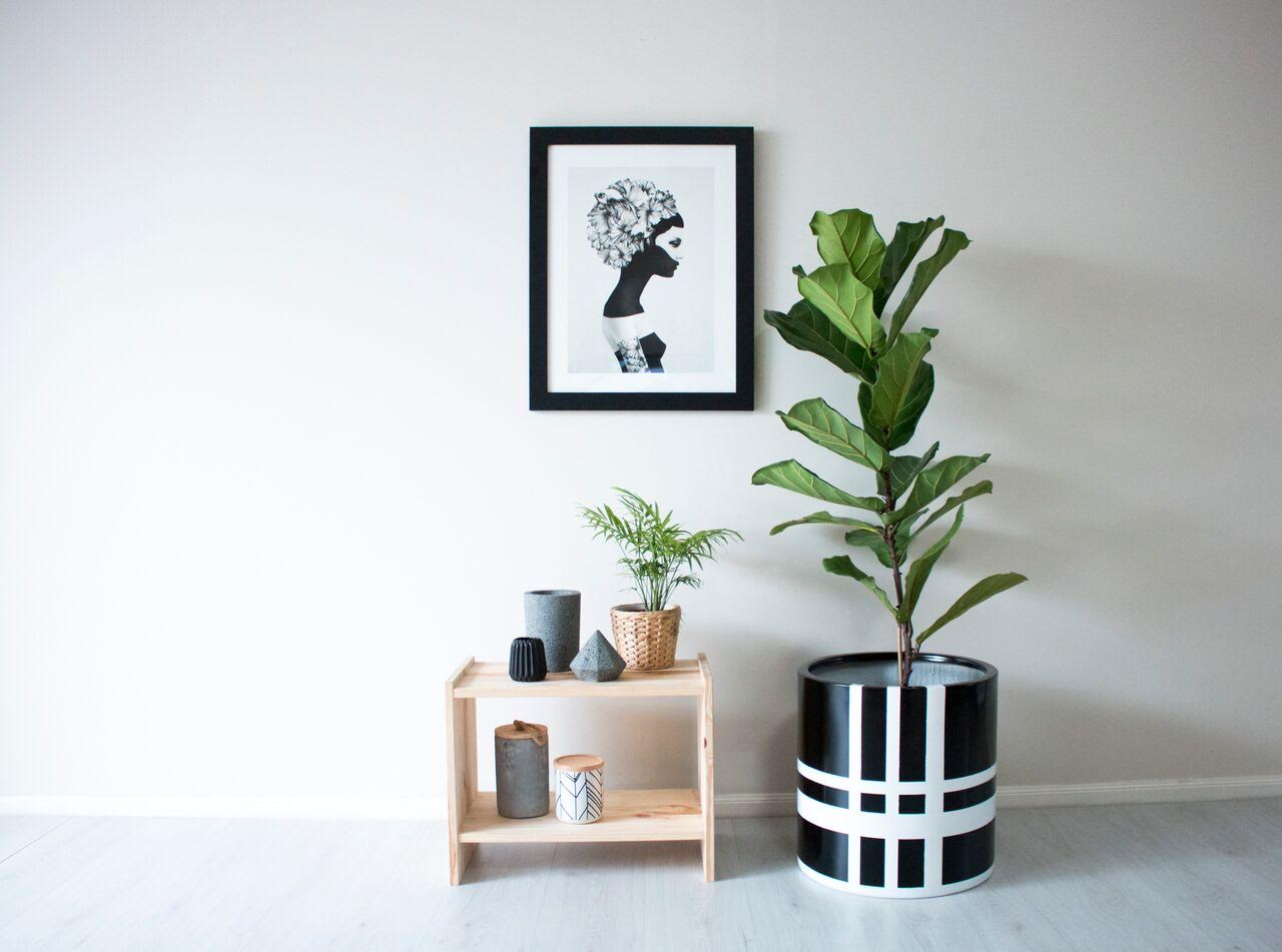 Modern Muse Lightweight, Australianmade designer pots The