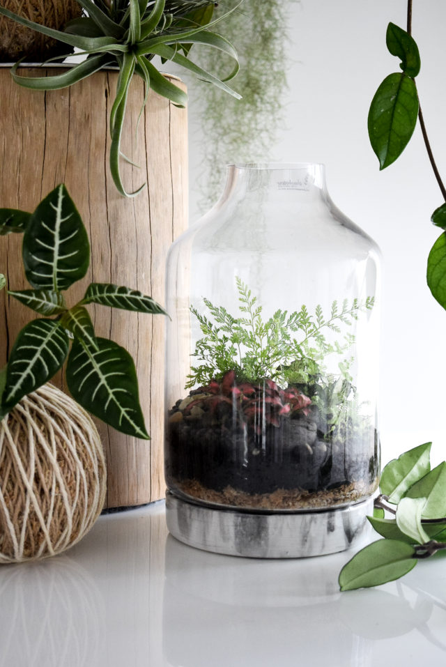 Resin Art-based Terrarium