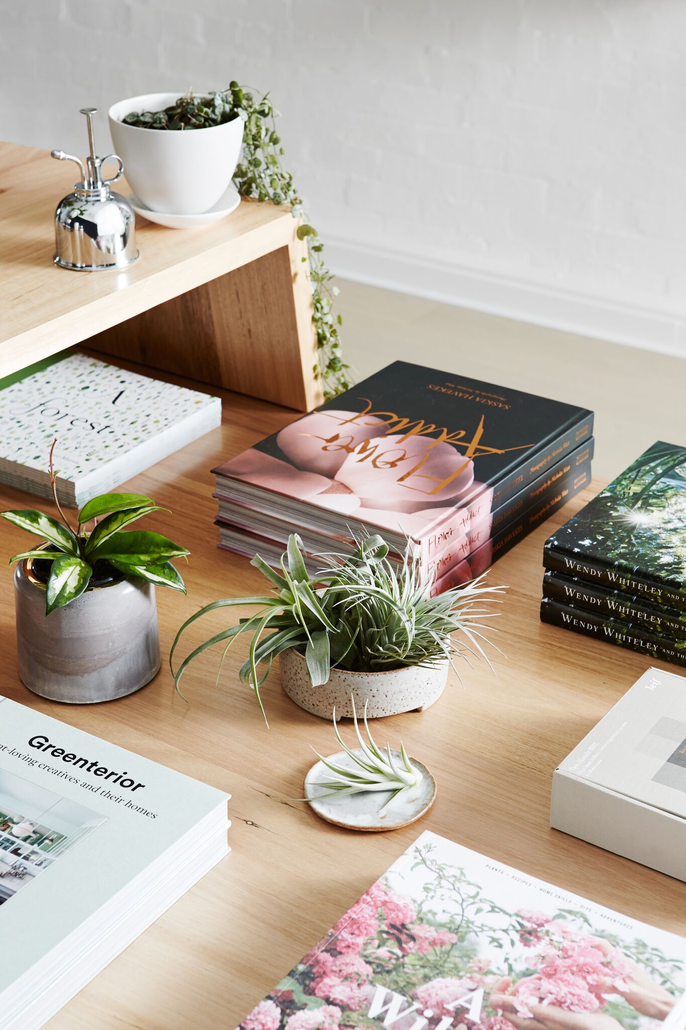 IVY MUSE launches botanical concept store in Melbourne The Interiors