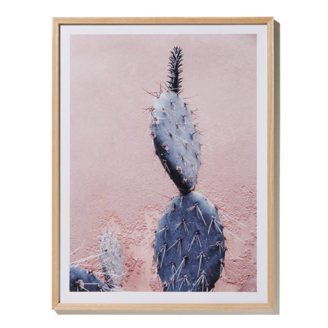 178182f008-hr-amsterdam-photographic-prints-blush-cacti-s16-60x80cm