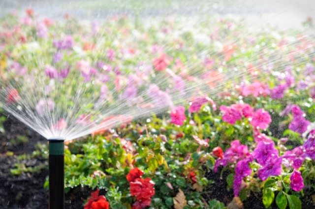 sprinklerwateringgarden_0