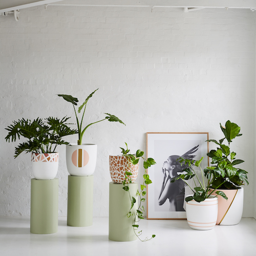 Get 20% off Design Twins' new Palm Springs pots - The Interiors Addict