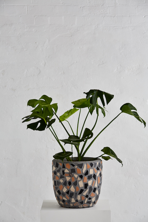 Get 20 off Design  Twins  new Palm Springs pots The 