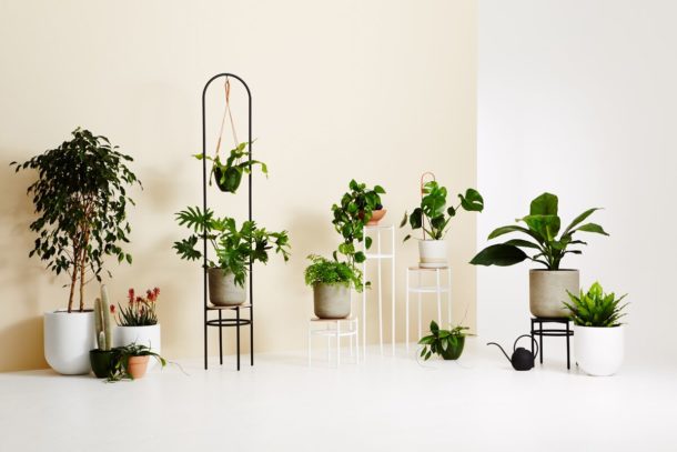 3D printed vases + concrete plant stands: IVY MUSE's new range - The ...