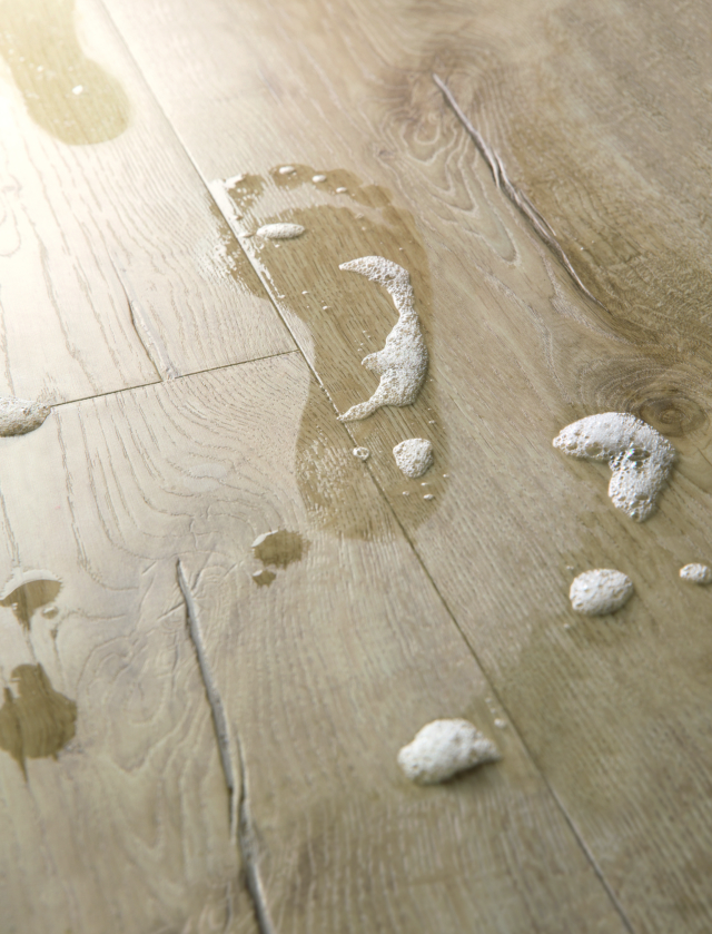 Why I Chose Quick Step Impressive Ultra, Is Quick Step Laminate Flooring Any Good