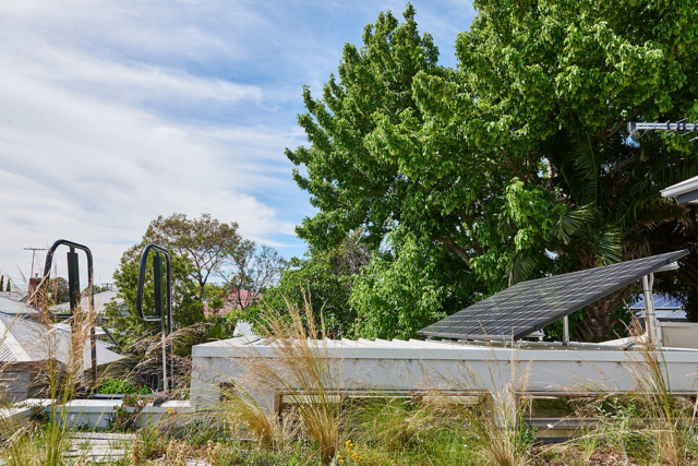 The home's green roof provides insulation