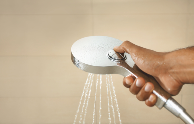 GROHE Power and soul shower head