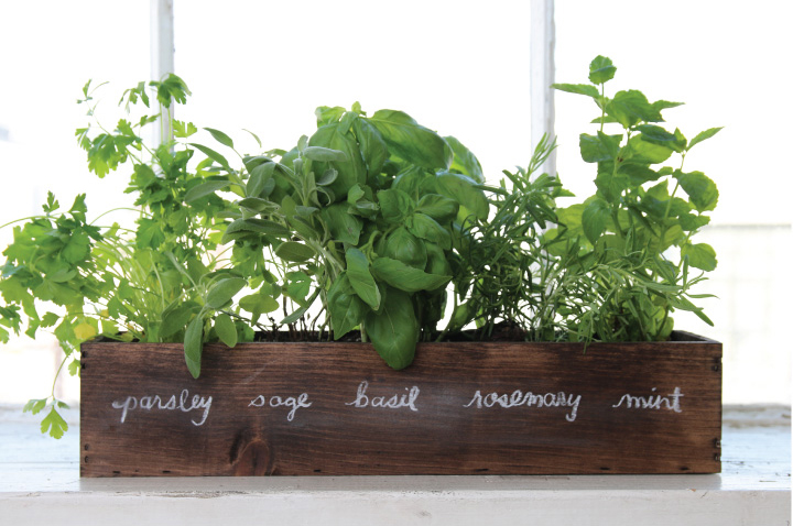 How to: Grow an indoor winter herb garden - The Interiors Addict