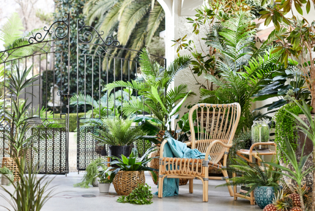 Various cane furniture and faux plants