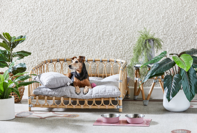 Adairs oasis shop rattan dog bed