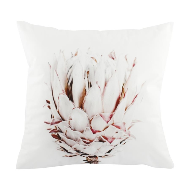 Kmart protea cushion