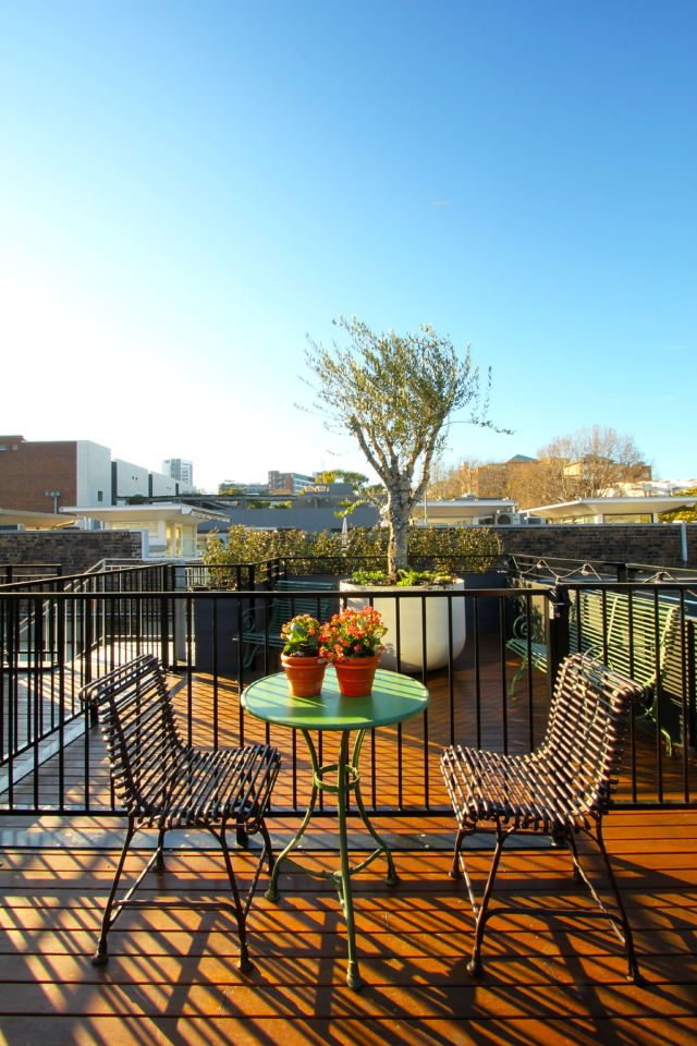 The rooftop garden