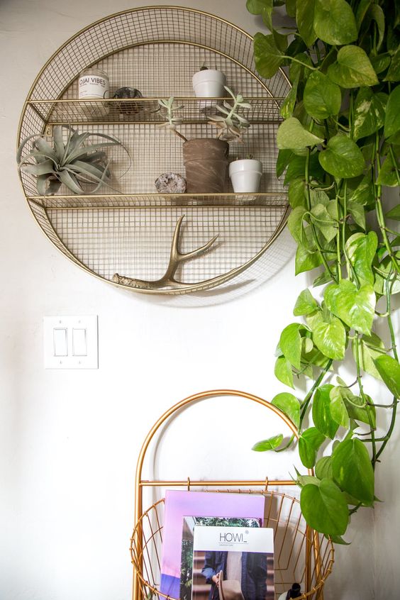 Pinterest - round shelf