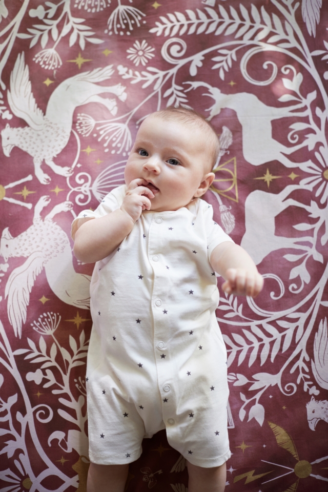 Patronus Damask fitted cot sheet, $39