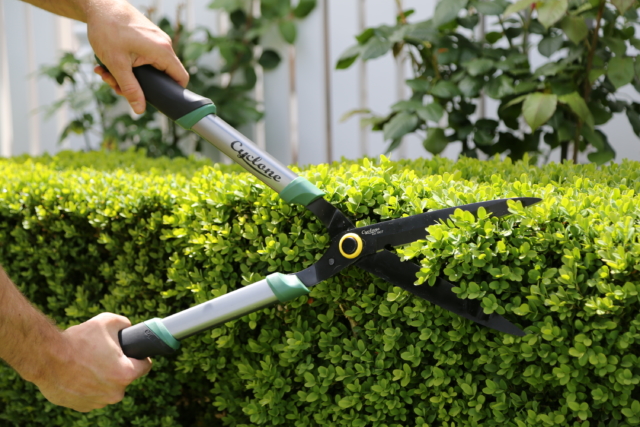 Cyclone hedge shears