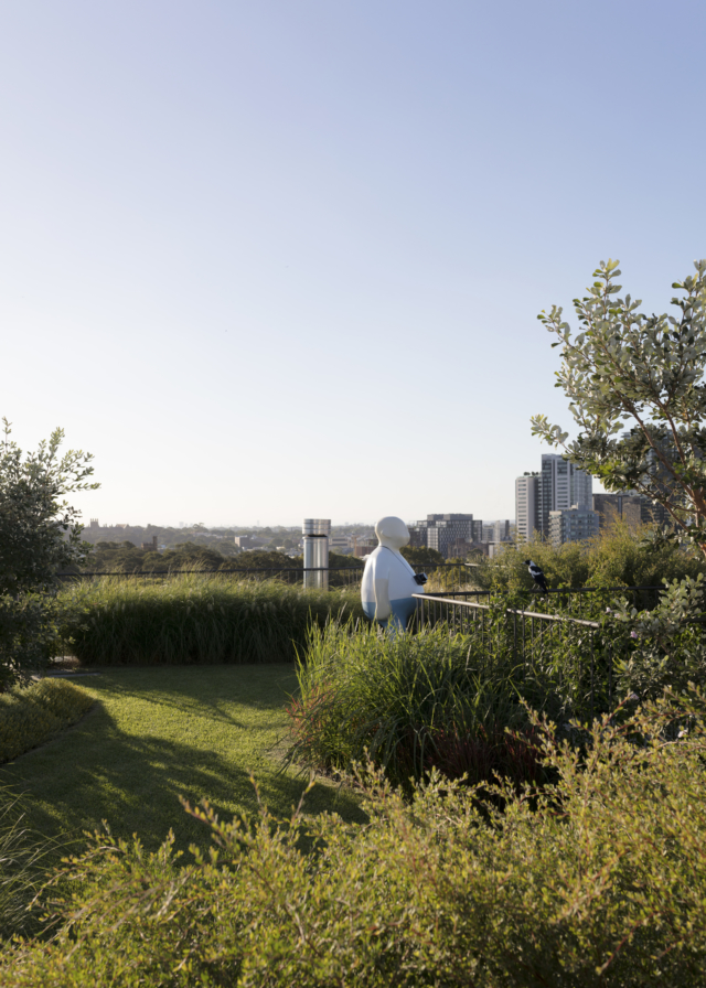 The glorious rooftop garden