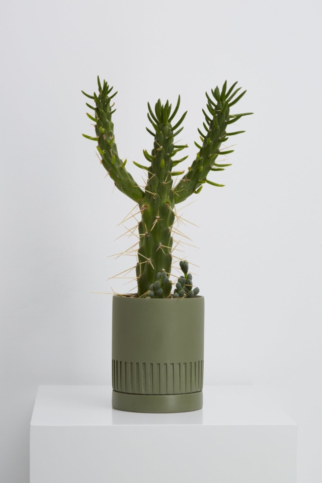 Capra Design pot