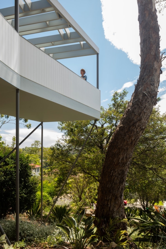 The home wraps around an large eucalyptus tree