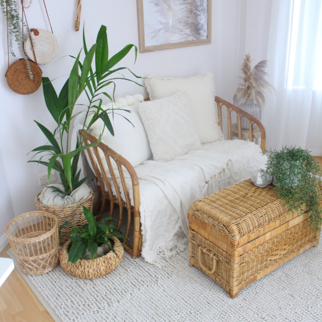 Zoe salvaged this cane chair from the side of the road and the cane chest from a second hand store. The rug, plants and planters are from Bunnings.