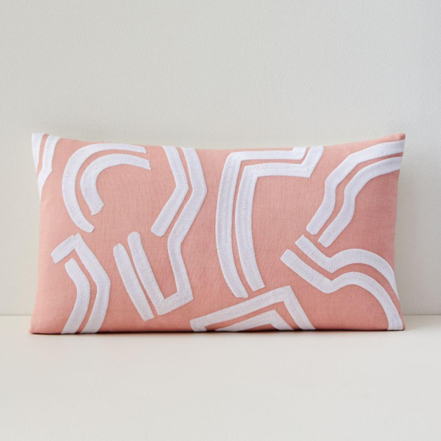 Raina cushion cover west elm