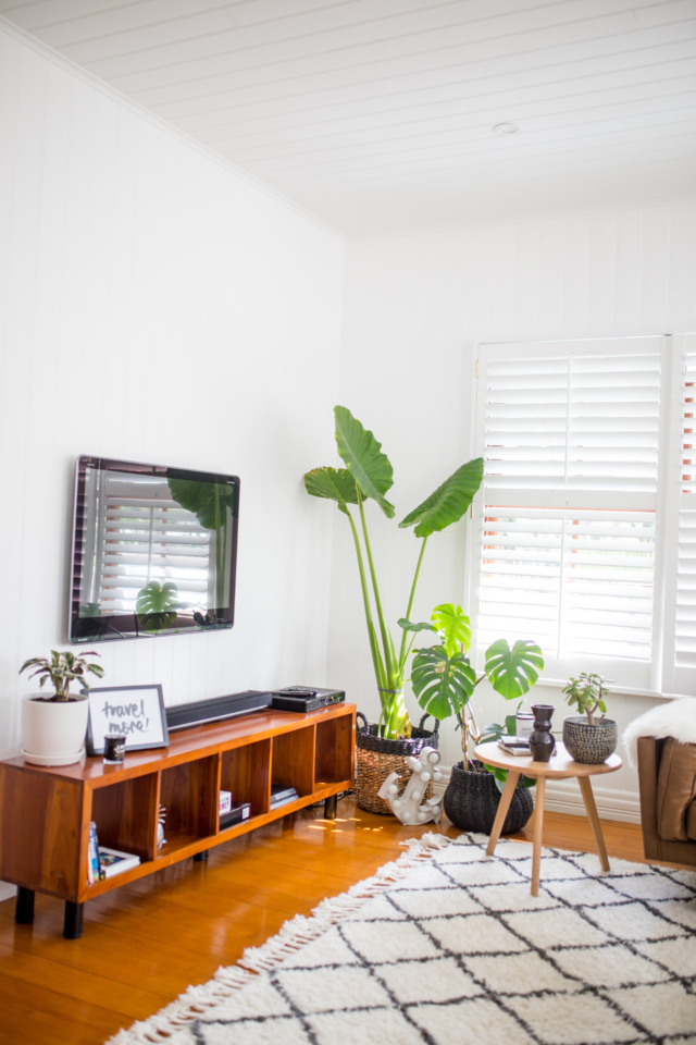 Indoor plants are a key feature in the restyle