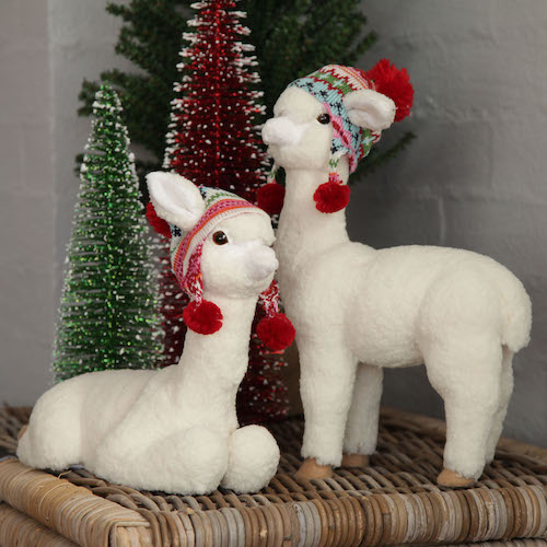 A rather cute alternative to the reindeer don't you think?