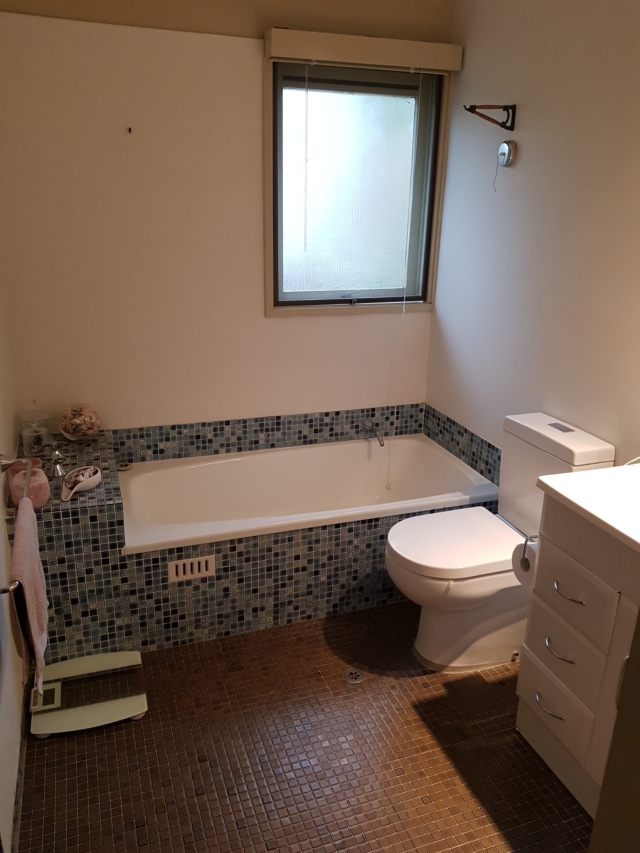 BEFORE main bathroom