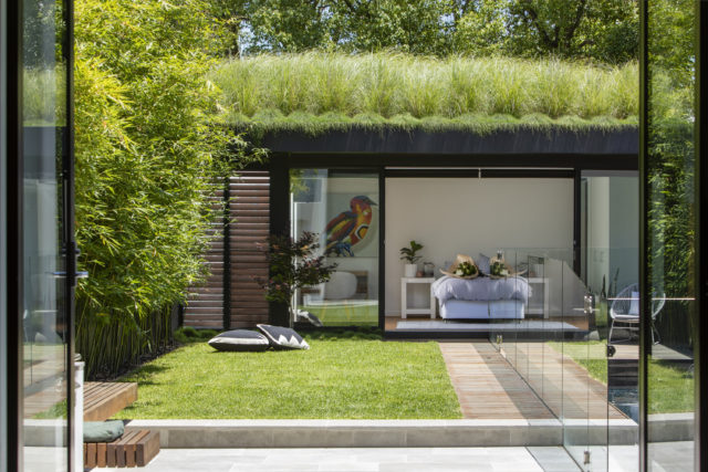 Located in Sydney's Woollahra, this rooftop rain garden is super lush