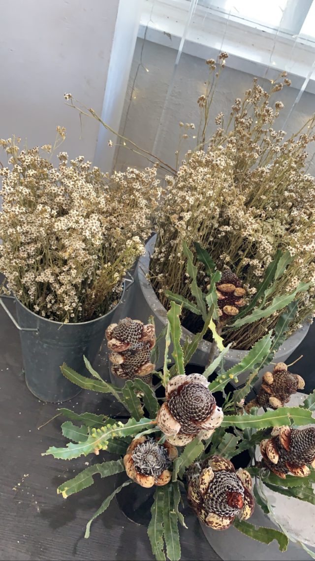 Dried native blooms