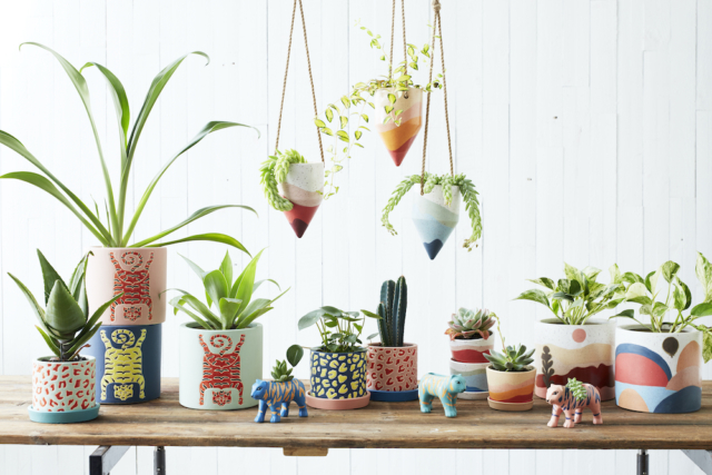 We love those panther print pots!