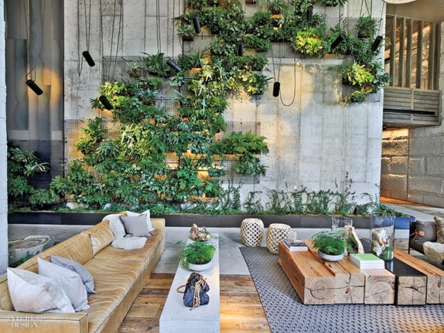 biophilic interior design