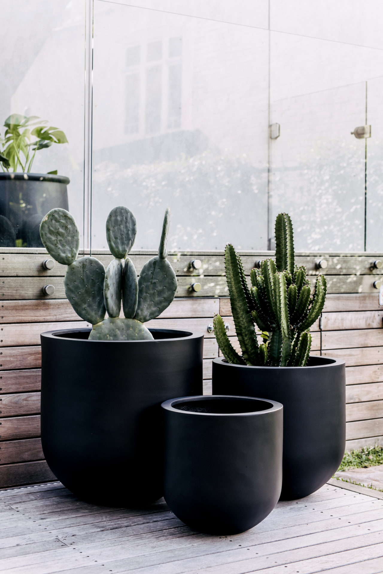 Statement pots: How to create the perfect cluster - The Interiors Addict