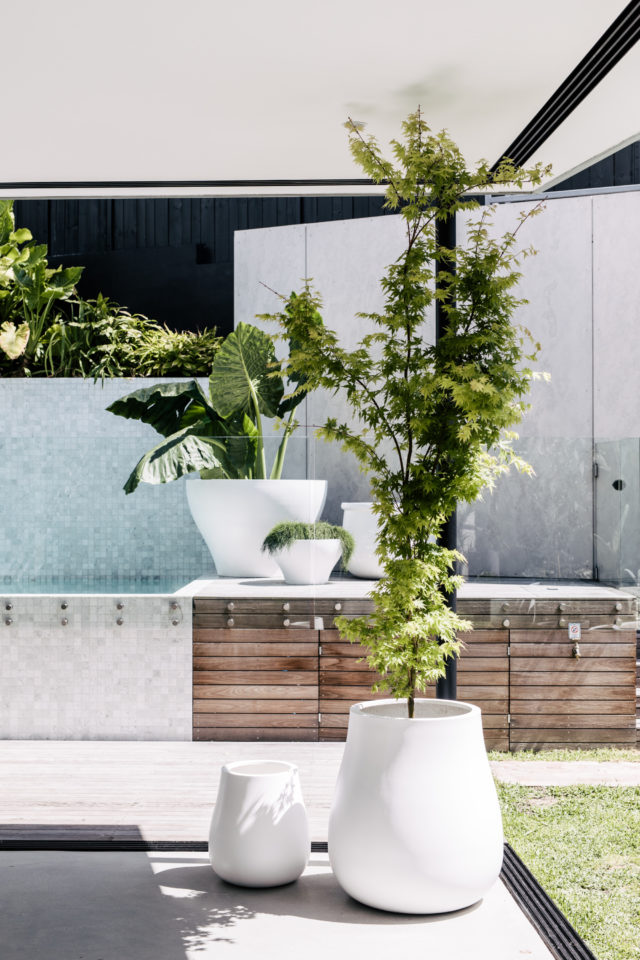 Statement pots: How to create the perfect cluster - The Interiors Addict