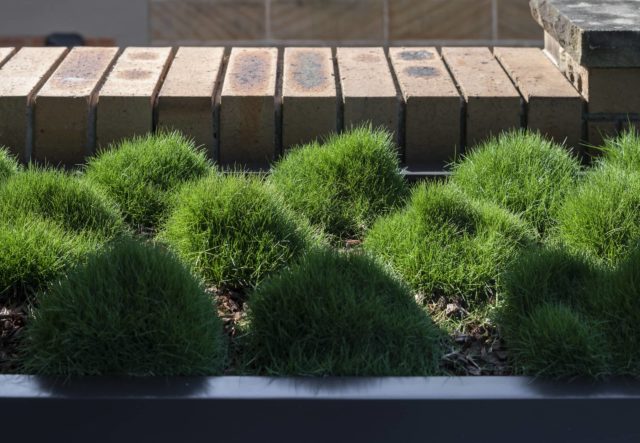 Custom built planter boxes