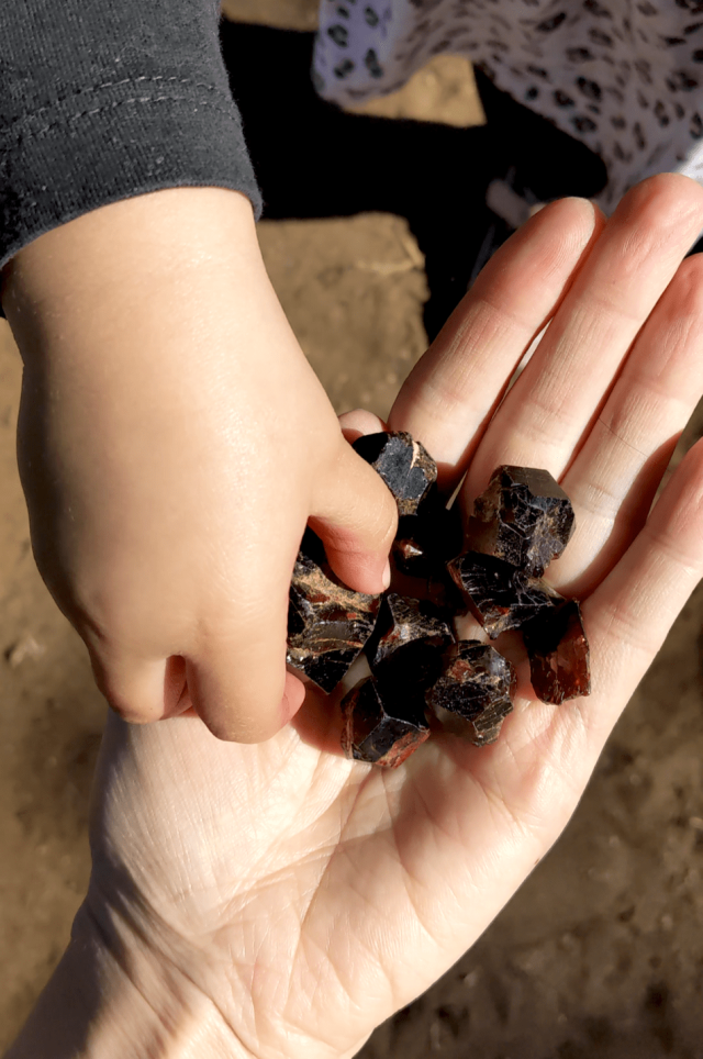 Garnets mined from the Harts Range