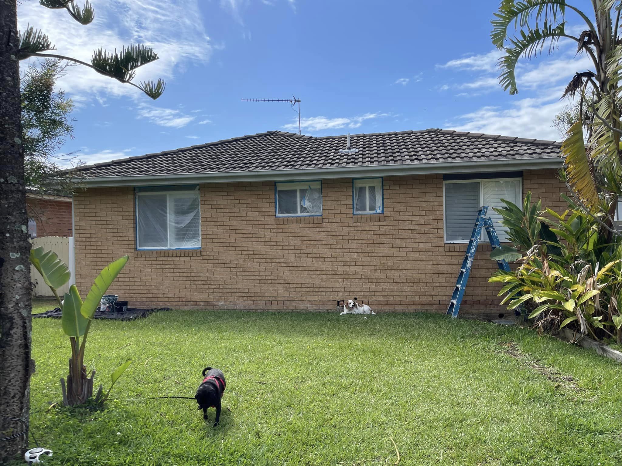 Lime wash blonde brick house makeover for just 50! Really! The