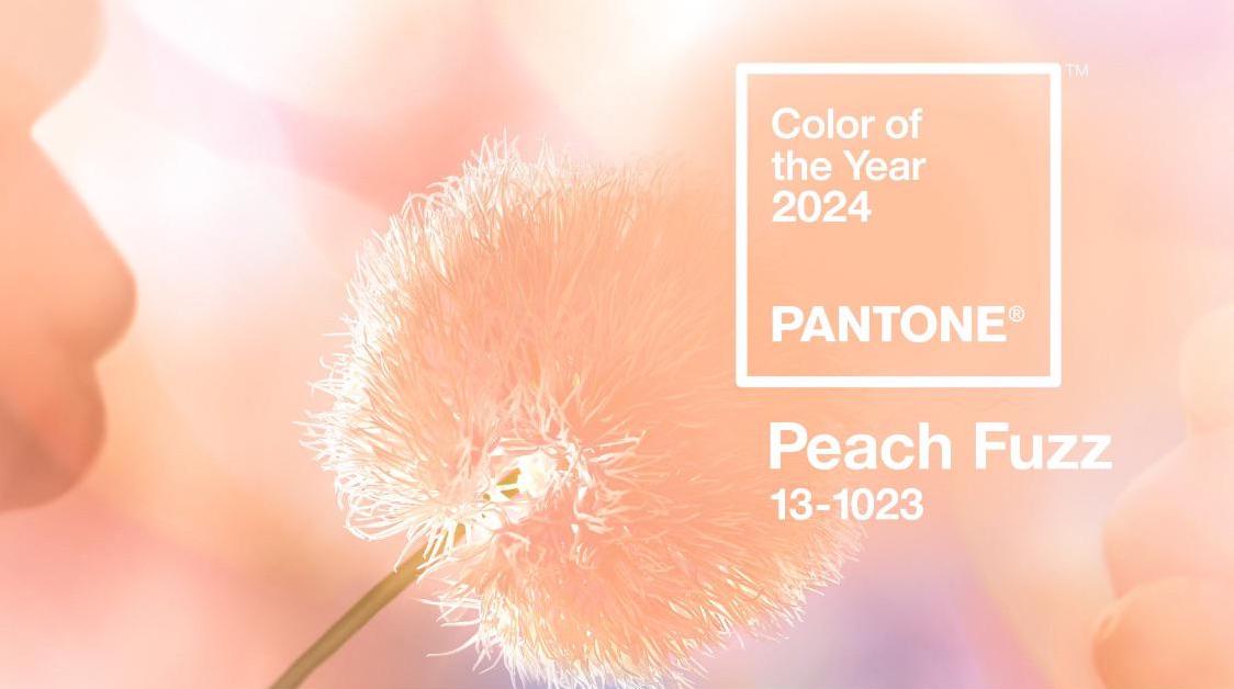 2024's Pantone Colour of the Year is Peach Fuzz. How to use it