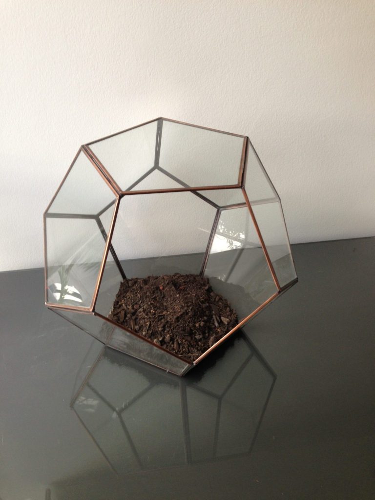 terrarium soil